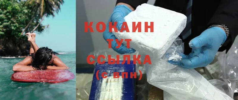 где купить   Беломорск  Cocaine Fish Scale 